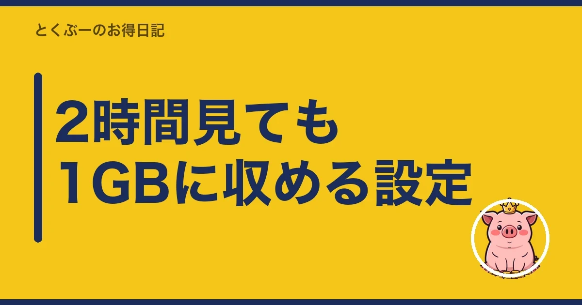 2時間見ても1GBに収める設定|とくぶー