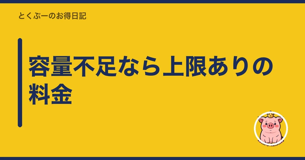 容量不足なら上限ありの料金|とくぶー