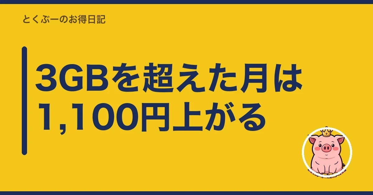 3GBを超えた月は1,100円上がる|とくぶー
