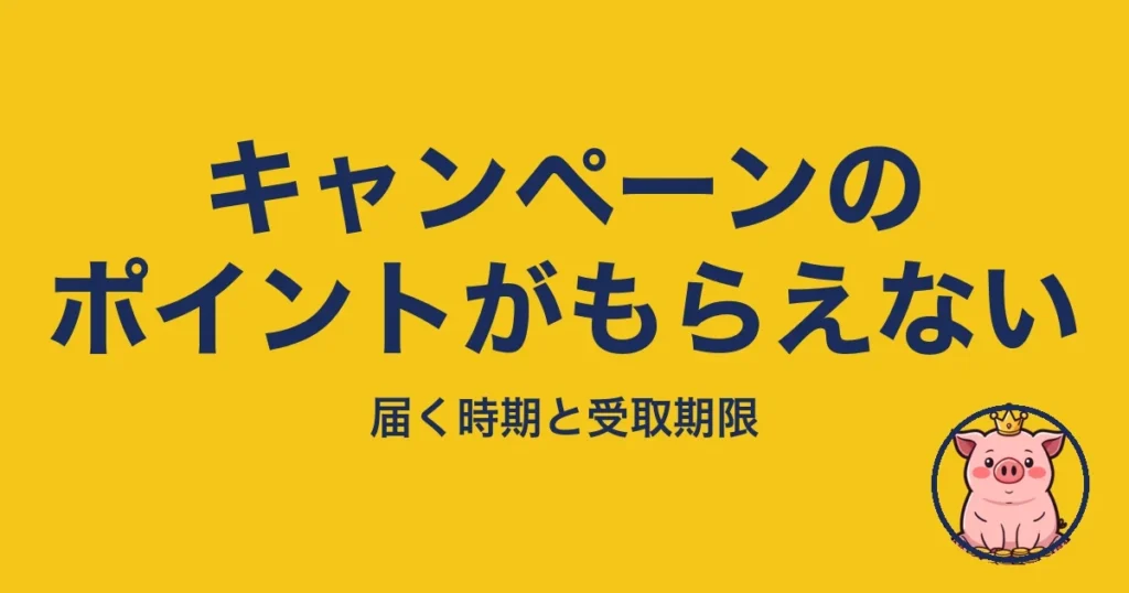 キャンペーンのポイントがもらえない