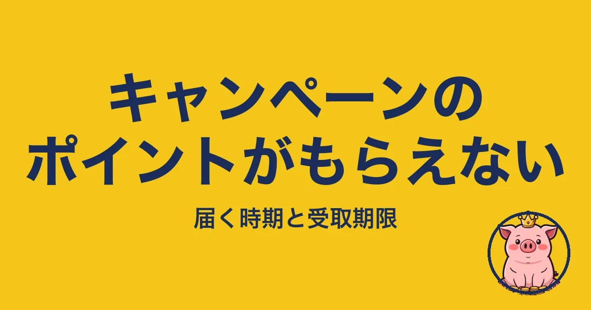 キャンペーンのポイントがもらえない