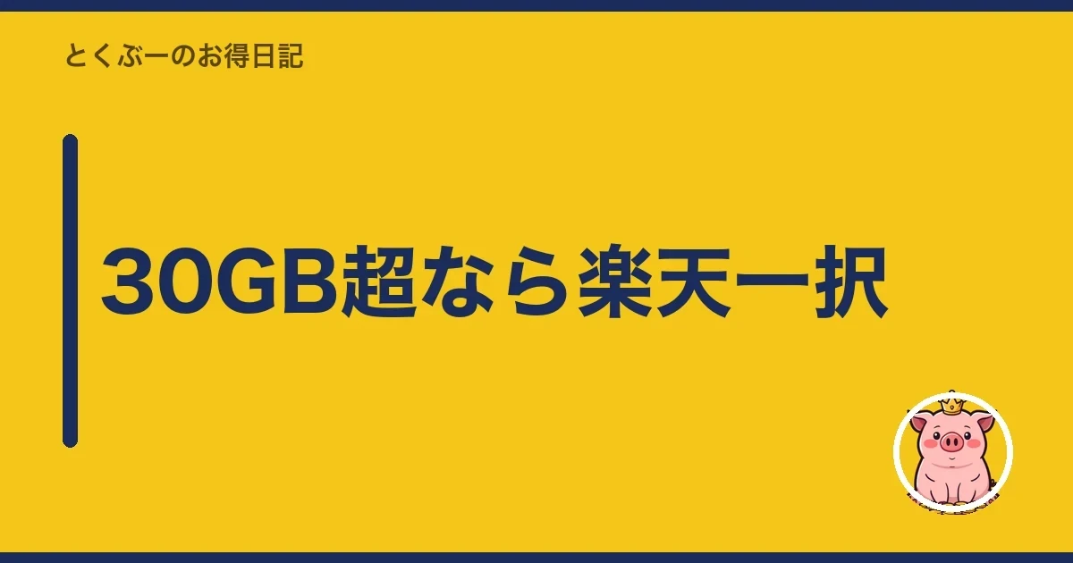 30GB超なら楽天一択|とくぶー