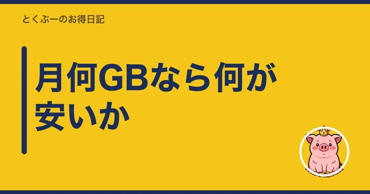 月何GBなら何が安いか｜とくぶー