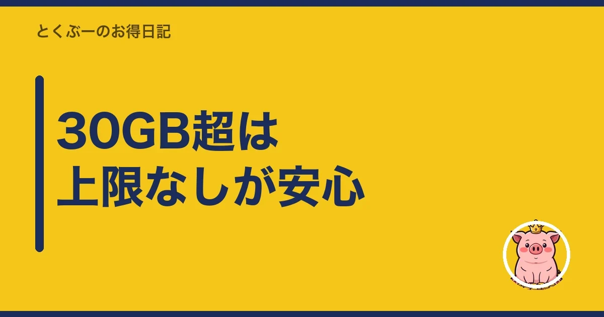 30GB超は上限なしが安心｜とくぶー